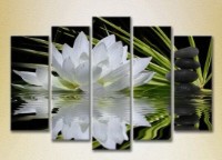 Pictură Rainbow Polyptych Water Lily and Massage Stones 04 (2932872)