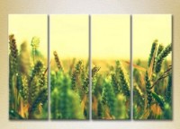 Pictură Rainbow Polyptych Wheat Field (2932340)