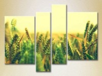 Pictură Rainbow Polyptych Wheat Field 02 (2932341)