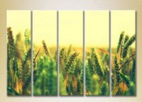 Pictură Rainbow Polyptych Wheat Field 03 (2932862)