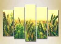 Pictură Rainbow Polyptych Wheat Field 04 (2932863)
