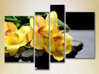 Pictură Rainbow Polyptych Yellow orchids on stones (2932283)