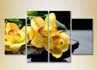 Картина Rainbow Polyptych Yellow Orchids on Stones 01 (2932284)