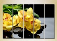Pictură Rainbow Polyptych Yellow Orchids on Stones 02 (2932812)
