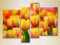 Pictură Rainbow Polyptych Yellow red tulips (2932279)