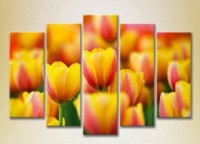 Pictură Rainbow Polyptych Yellow red tulips 03 (2932808)