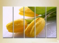 Pictură Rainbow Polyptych Yellow Tulips 04 (2932815)