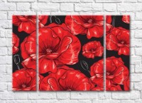 Pictură Rainbow Poppy abstraction on a black background (500438)