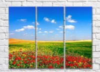 Pictură Rainbow Poppy glade against the background of wheat fields and blue sky (500439)