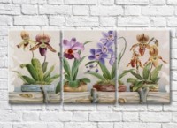 Pictură Rainbow Potted orchids (3572581)