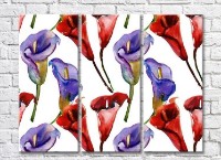 Pictură Rainbow Red and purple calla lilies (3448895)