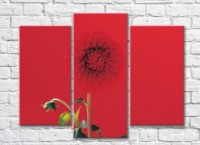 Pictură Rainbow Red dahlia flower on a red background (500365)