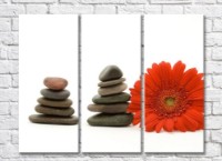 Pictură Rainbow Red gerbera and flat stones on white background (500334)