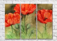 Pictură Rainbow Red poppies on a green background watercolor drawing (500347)