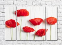 Pictură Rainbow Red poppies on a white plank background (500344)