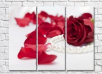 Картина Rainbow Red rose, petals and a string of white pearls (500337)