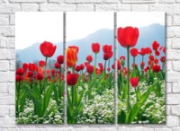 Pictură Rainbow Red tulips in a mountain landscape (500356)