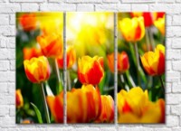 Pictură Rainbow Red yellow tulips against the background of the sun (500339)