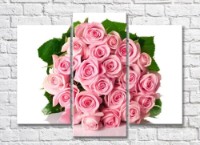 Pictură Rainbow Round bouquet of pink roses (500368)