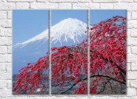Картина Rainbow Sakura tree on the background of Mount Fuji (500272)