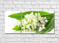 Pictură Rainbow Small lily of the valley flowers on green leaves (500450)