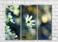 Pictură Rainbow Small white flowers on an abstract dark background (500447)