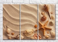 Pictură Rainbow Starfish and seashells in the sand (3469152)