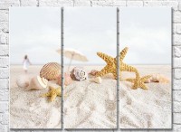 Pictură Rainbow Starfish and seashells in the sand (3469153)