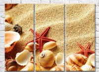 Pictură Rainbow Starfish and seashells on a sandy beach (3469154)