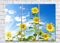 Pictură Rainbow Sunflower flowers in the sun against the sky (500823)