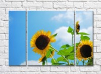 Pictură Rainbow Sunflower flowers on a Blue sky background (500825)
