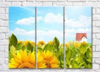 Pictură Rainbow Sunflower garden and a house on the horizon (500469)