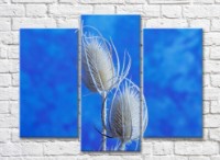 Pictură Rainbow Thorny flowers on a blue background (500326)