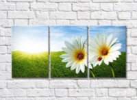 Pictură Rainbow Two daisies with a ladybug and the sun on the horizon (500267) imaginea #1 — magazin online Desire.md