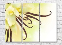 Pictură Rainbow Vanilla flowers and sticks (500822)