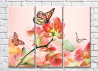 Pictură Rainbow Variegated butterflies on coral orchid flowers (500515)
