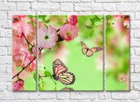 Pictură Rainbow Variegated butterfly and sakura branches on a green background (500510)