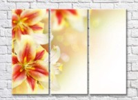 Pictură Rainbow Variegated lily flowers on a light background (500521)