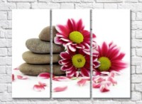 Картина Rainbow Variegated pink chrysanthemum flowers and flat stones (500522)