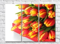 Pictură Rainbow Variegated yellow orange tulip flowers (500517)