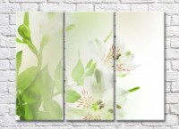 Картина Rainbow White alstroemeria flowers and Green leaves (500817)