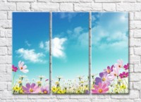 Pictură Rainbow Wildflowers against the blue sky (500532)