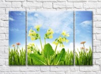 Pictură Rainbow Wildflowers against the sky (500534)