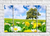 Pictură Rainbow Wildflowers and a tree against the sky (500530)