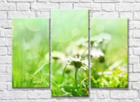 Картина Rainbow Wildflowers on a green background (500531)