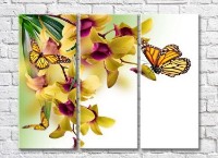 Pictură Rainbow Yellow butterflies against a yellow archidea (3448885)