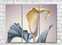 Pictură Rainbow Yellow calla flower and leaves on a gray background (500300)