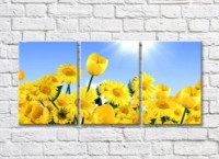 Pictură Rainbow Yellow daisies and tulips on a blue sunny sky background (500291)
