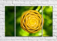 Pictură Rainbow Yellow exotic flower on a green background (500301)