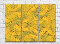 Картина Rainbow Yellow Green Leaf Abstraction (500277)